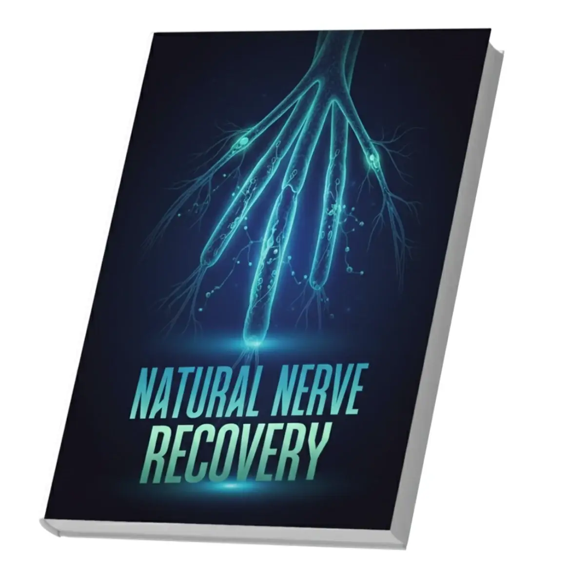 Natural Nerve Recovery bonus guide cover